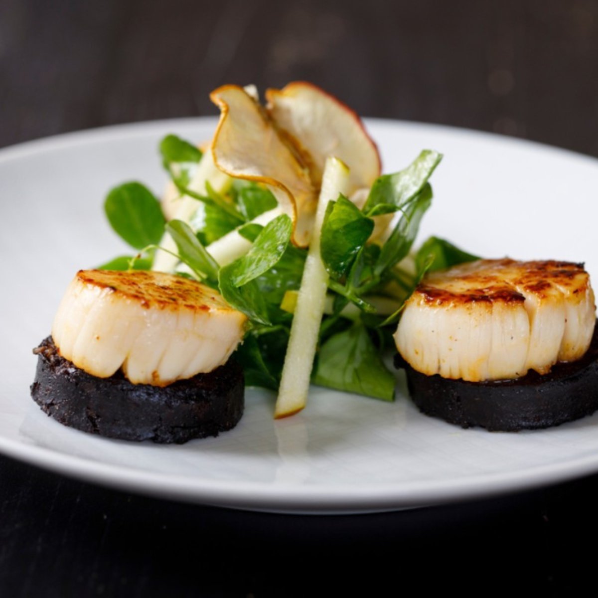 How Many Scallops Per Person Do You Need? A Quantities Guide
