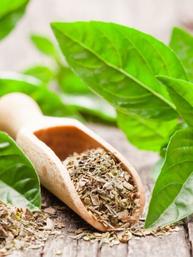 How To Dry Fresh Basil Leaves Keesha's Kitchen
