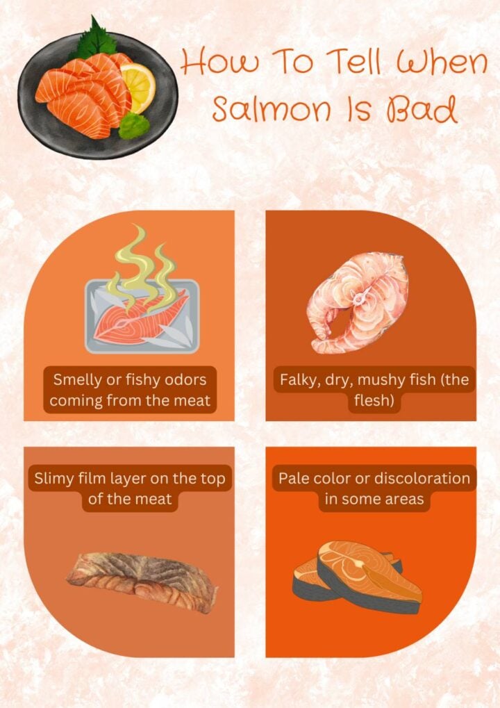 How Long Does Salmon Last In The Fridge? Best InDepth Guide