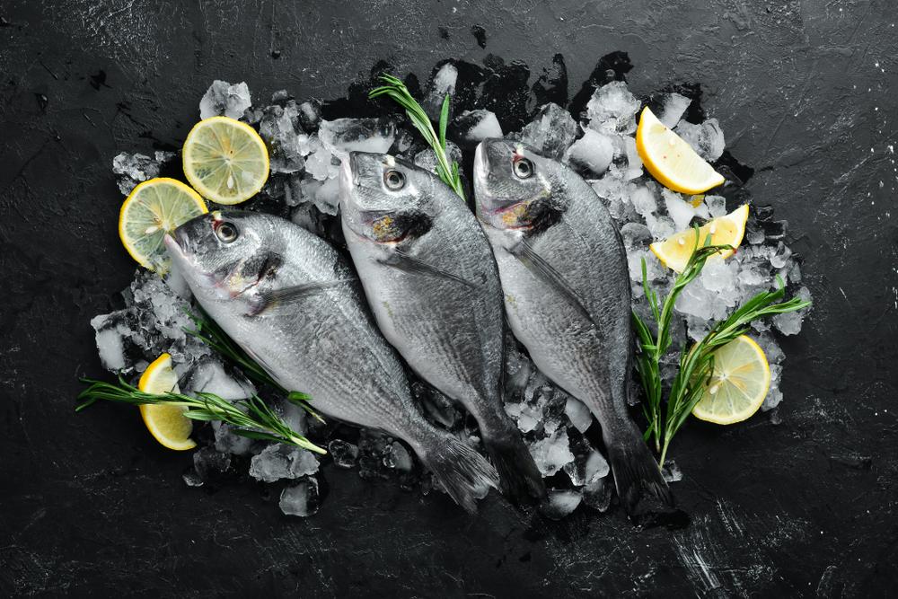 Thawed Fish on a black stone with ice