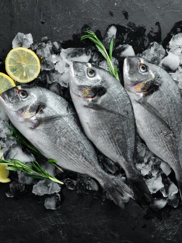 Navigating Thawed Fish Storage Ensuring Freshness and Safety in the