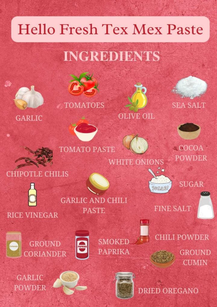 HelloFresh Tex Mex Paste - Keesha's Kitchen