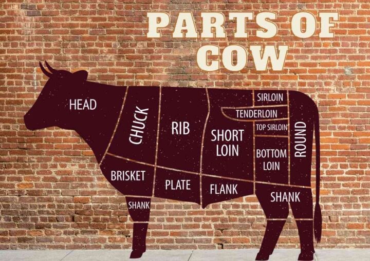 What Part Of The Cow Is Brisket? Quick & Easy Guide